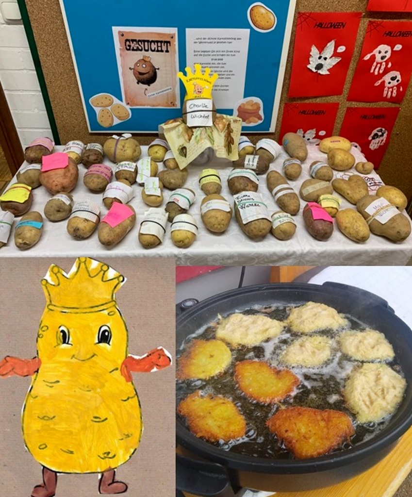 Suche nach dem Kartoffelkönig 2025